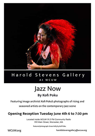 Harold Stevens Gallery show: Kofi Poku